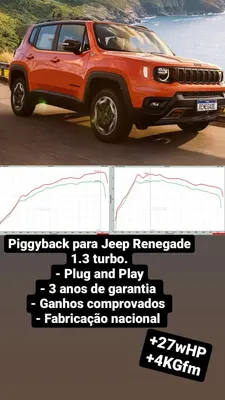Chip Renegade 1.3