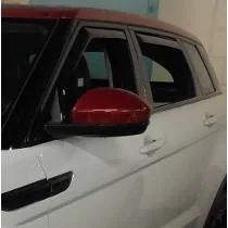 LR247_3.jpg