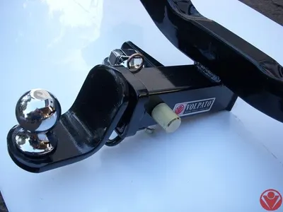 VOLP4396_5.jpg